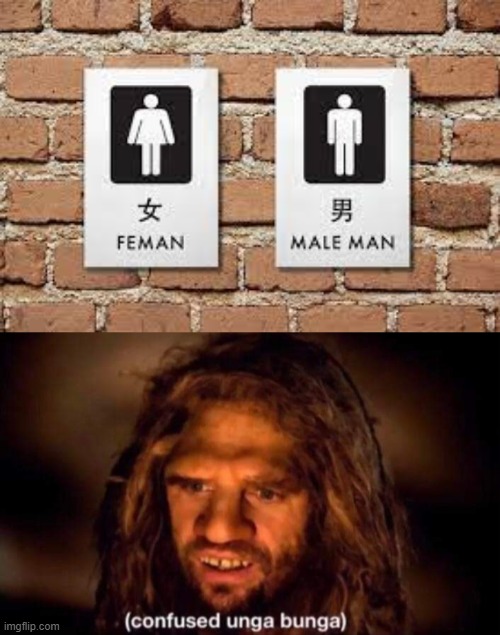 feman? male man?? | image tagged in confused unga bunga | made w/ Imgflip meme maker