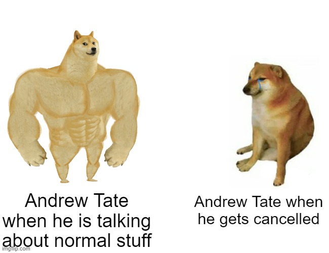 Stop hating Tate hes actually spittin fax | Andrew Tate when he is talking about normal stuff; Andrew Tate when he gets cancelled | image tagged in memes,buff doge vs cheems | made w/ Imgflip meme maker