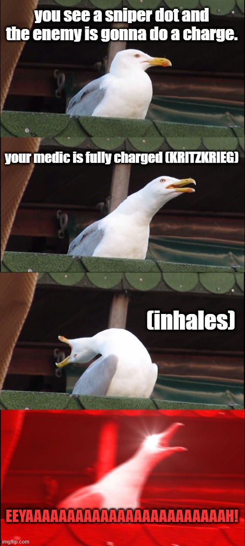 WAAAAH! WAAAAAAAAAH! CRY SOME MORE!!! | you see a sniper dot and the enemy is gonna do a charge. your medic is fully charged (KRITZKRIEG); (inhales); EEYAAAAAAAAAAAAAAAAAAAAAAAAH! | image tagged in memes,inhaling seagull,tf2,team fortress 2,kritzkrieg | made w/ Imgflip meme maker