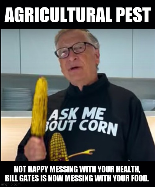 This rat has to be stopped. |  AGRICULTURAL PEST; NOT HAPPY MESSING WITH YOUR HEALTH,
BILL GATES IS NOW MESSING WITH YOUR FOOD. | image tagged in memes,bill gates,farming,corn,elite,political meme | made w/ Imgflip meme maker