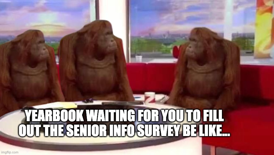 where monkey | YEARBOOK WAITING FOR YOU TO FILL OUT THE SENIOR INFO SURVEY BE LIKE... | image tagged in where monkey | made w/ Imgflip meme maker