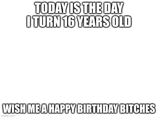 TODAY IS THE DAY I TURN 16 YEARS OLD; WISH ME A HAPPY BIRTHDAY BITCHES | made w/ Imgflip meme maker