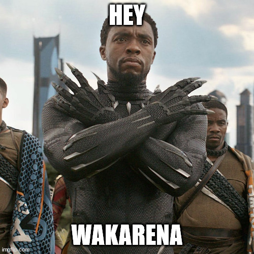Hey Wakarena |  HEY; WAKARENA | image tagged in wakanda forever | made w/ Imgflip meme maker