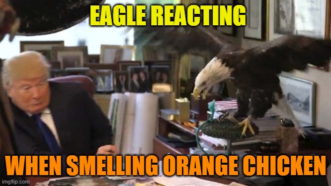 EAGLE EYE JUDGE OF CHARACTER | EAGLE REACTING; WHEN SMELLING ORANGE CHICKEN | image tagged in trump eagle,donald trump,political meme,chicken,maga | made w/ Imgflip meme maker