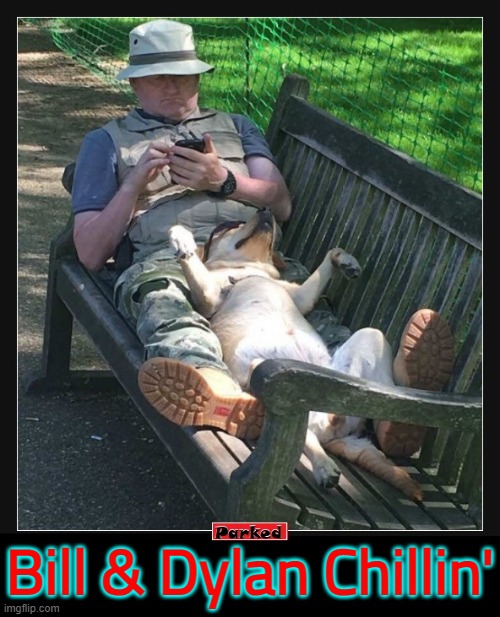 Dog Tired or the Sleep of the Just? | Bill & Dylan Chillin' | image tagged in vince vance,man's best friend,dogs,just chillin',memes,park bench | made w/ Imgflip meme maker