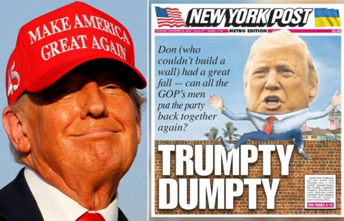 High Quality Trumpty Dumpty - the biggest loser Blank Meme Template