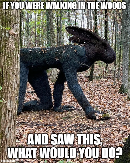 Side effects | IF YOU WERE WALKING IN THE WOODS; AND SAW THIS, WHAT WOULD YOU DO? | image tagged in side effects | made w/ Imgflip meme maker