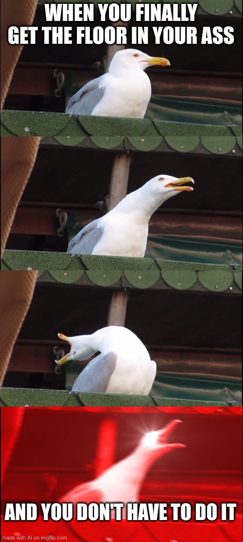 Inhaling Seagull | WHEN YOU FINALLY GET THE FLOOR IN YOUR ASS; AND YOU DON'T HAVE TO DO IT | image tagged in memes,inhaling seagull | made w/ Imgflip meme maker