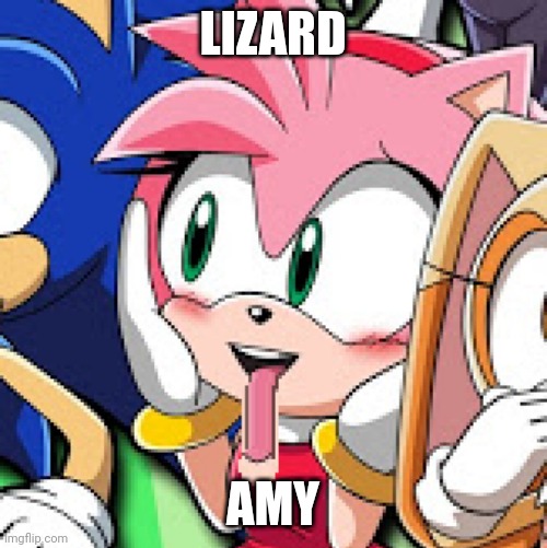 The power of GIMP and/or Photoshop | LIZARD; AMY | image tagged in amy rose,why,bad photoshop,memes | made w/ Imgflip meme maker