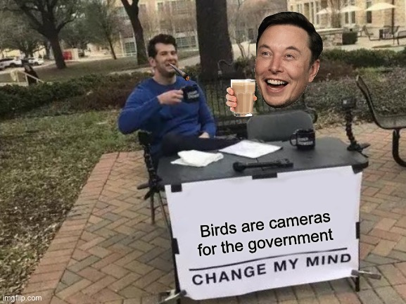 Funny | Birds are cameras for the government | image tagged in memes,change my mind | made w/ Imgflip meme maker