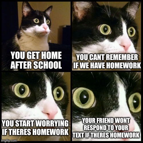 crying of homework | YOU GET HOME AFTER SCHOOL; YOU CANT REMEMBER IF WE HAVE HOMEWORK; YOU START WORRYING IF THERES HOMEWORK; YOUR FRIEND WONT RESPOND TO YOUR TEXT IF THERES HOMEWORK | image tagged in homework,crying | made w/ Imgflip meme maker