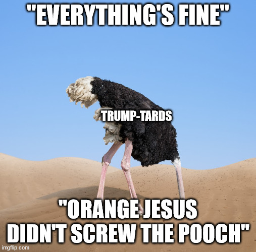 Ostrich | "EVERYTHING'S FINE" "ORANGE JESUS DIDN'T SCREW THE POOCH" TRUMP-TARDS | image tagged in ostrich | made w/ Imgflip meme maker