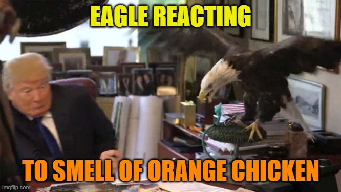 Eagle eye judge of character | EAGLE REACTING; TO SMELL OF ORANGE CHICKEN | image tagged in trump eagle,maga,donald trump,political meme,chicken | made w/ Imgflip meme maker
