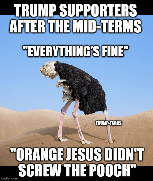 Following the "red wave" | TRUMP SUPPORTERS AFTER THE MID-TERMS; "EVERYTHING'S FINE"; TRUMP-TARDS; "ORANGE JESUS DIDN'T
SCREW THE POOCH" | image tagged in ostrich | made w/ Imgflip meme maker