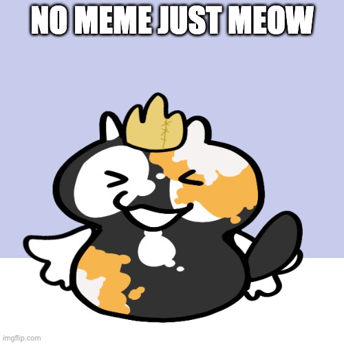 NO MEME JUST MEOW | image tagged in meow | made w/ Imgflip meme maker