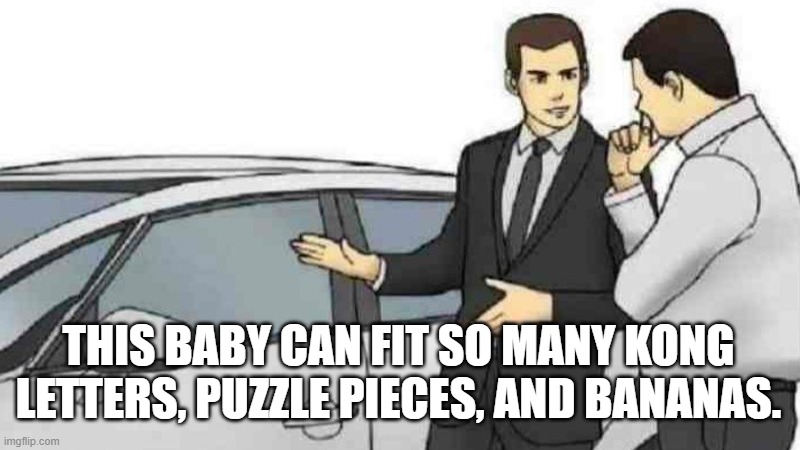Car Salesman Slaps Roof Of Car Meme | THIS BABY CAN FIT SO MANY KONG LETTERS, PUZZLE PIECES, AND BANANAS. | image tagged in memes,car salesman slaps roof of car | made w/ Imgflip meme maker