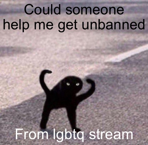 Cursed cat temp | Could someone help me get unbanned; From lgbtq stream | image tagged in cursed cat temp | made w/ Imgflip meme maker