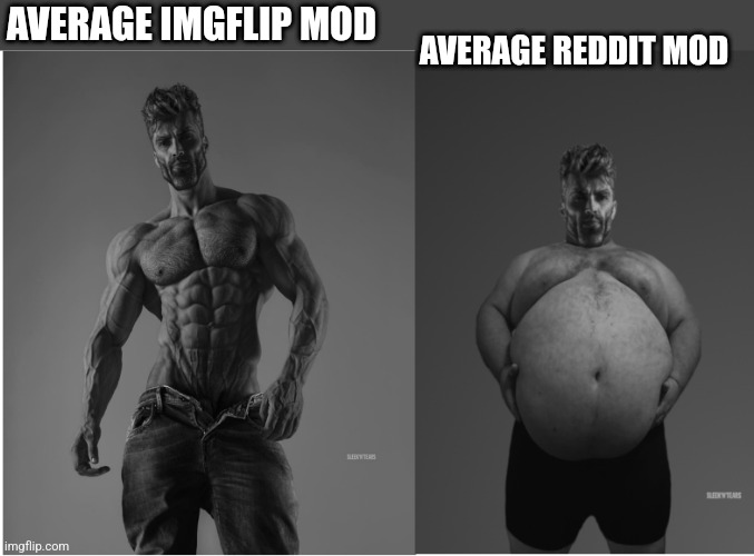 Self Image vs Reality GigaChad | AVERAGE IMGFLIP MOD; AVERAGE REDDIT MOD | image tagged in self image vs reality gigachad | made w/ Imgflip meme maker