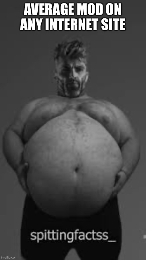 Fat Gigachad | AVERAGE MOD ON ANY INTERNET SITE | image tagged in fat gigachad | made w/ Imgflip meme maker