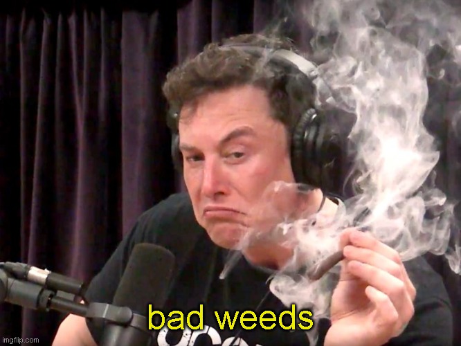 Elon Musk Weed | bad weeds | image tagged in elon musk weed | made w/ Imgflip meme maker