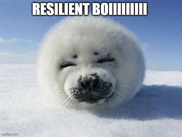 RESILIANT BOIIII | RESILIENT BOIIIIIIIII | image tagged in seal of approval | made w/ Imgflip meme maker