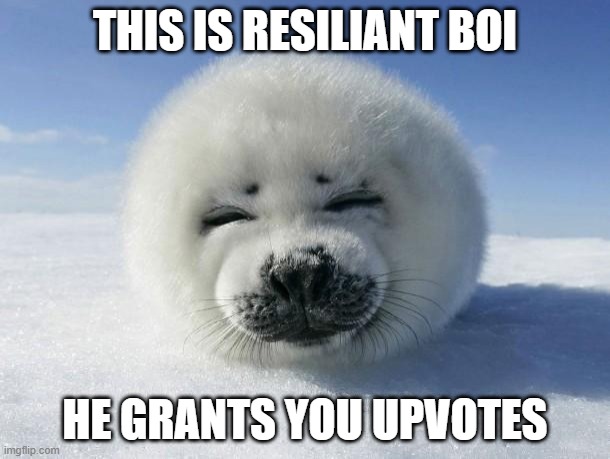 Upvote | THIS IS RESILIANT BOI; HE GRANTS YOU UPVOTES | image tagged in seal of approval | made w/ Imgflip meme maker