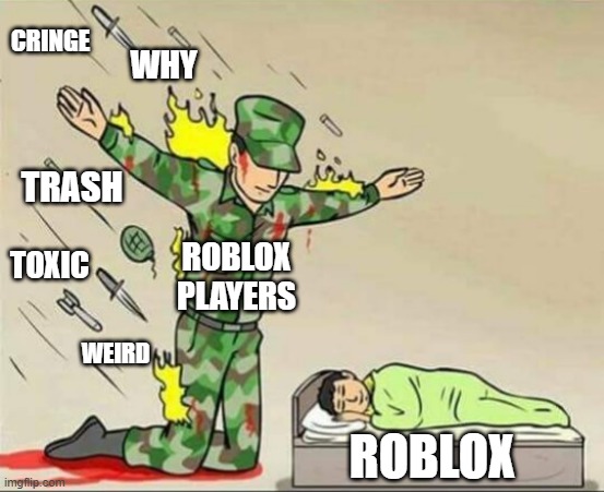 POV: you don't play roblox | WHY; CRINGE; TRASH; ROBLOX PLAYERS; TOXIC; WEIRD; ROBLOX | image tagged in soldier protecting sleeping child | made w/ Imgflip meme maker