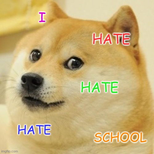 Doge | I; HATE; HATE; HATE; SCHOOL | image tagged in memes,doge | made w/ Imgflip meme maker