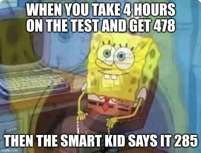 spongebob screaming inside | WHEN YOU TAKE 4 HOURS ON THE TEST AND GET 478; THEN THE SMART KID SAYS IT 285 | image tagged in spongebob screaming inside | made w/ Imgflip meme maker