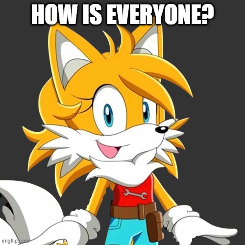 HOW IS EVERYONE? | image tagged in tailsko | made w/ Imgflip meme maker