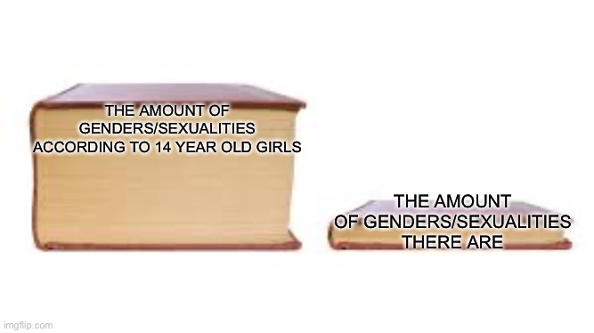 Just, stop | THE AMOUNT OF GENDERS/SEXUALITIES ACCORDING TO 14 YEAR OLD GIRLS; THE AMOUNT OF GENDERS/SEXUALITIES THERE ARE | image tagged in big book small book,sexuality,gender,girl | made w/ Imgflip meme maker