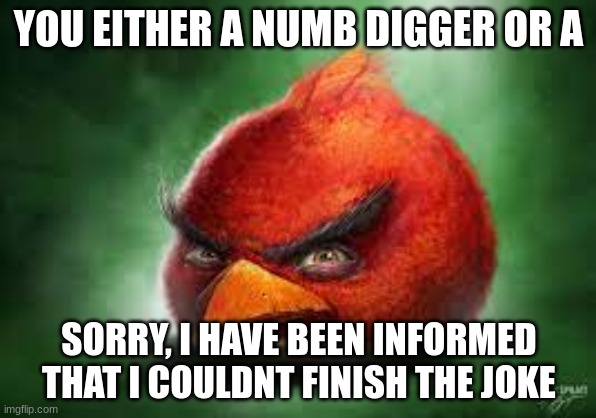 Realistic Red Angry Birds | YOU EITHER A NUMB DIGGER OR A; SORRY, I HAVE BEEN INFORMED THAT I COULDNT FINISH THE JOKE | image tagged in realistic red angry birds | made w/ Imgflip meme maker