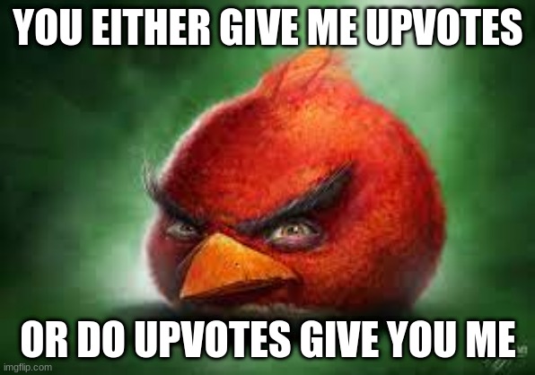 I am beggar | YOU EITHER GIVE ME UPVOTES; OR DO UPVOTES GIVE YOU ME | image tagged in realistic red angry birds | made w/ Imgflip meme maker