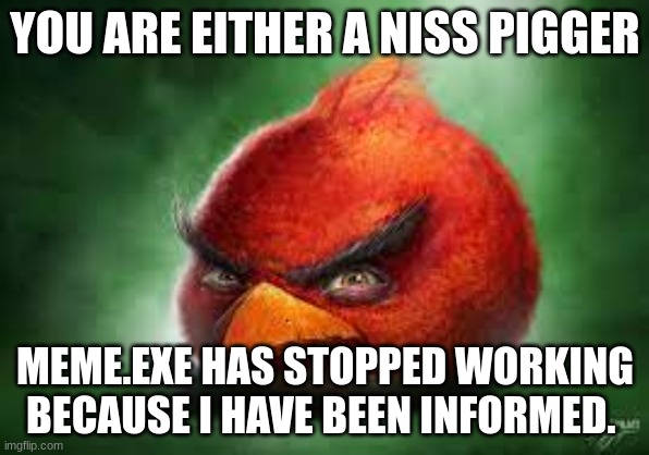 Don't Continue this meme | YOU ARE EITHER A NISS PIGGER; MEME.EXE HAS STOPPED WORKING BECAUSE I HAVE BEEN INFORMED. | image tagged in realistic red angry birds | made w/ Imgflip meme maker