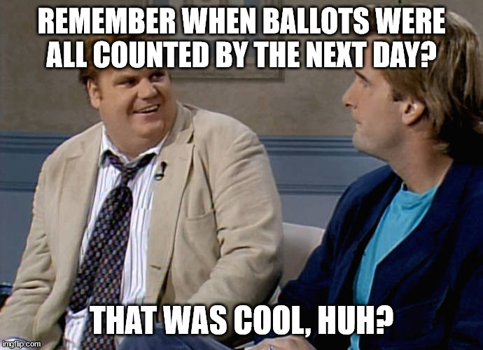 It just takes time to stage an election so it doesn't look like Dems are cheating. | REMEMBER WHEN BALLOTS WERE ALL COUNTED BY THE NEXT DAY? THAT WAS COOL, HUH? | image tagged in remember that time,fraudulent elections,dem motto the ends justify the means | made w/ Imgflip meme maker