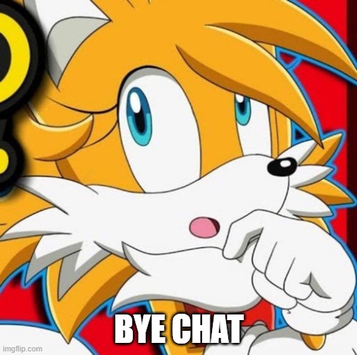 BYE CHAT | image tagged in tailsko | made w/ Imgflip meme maker