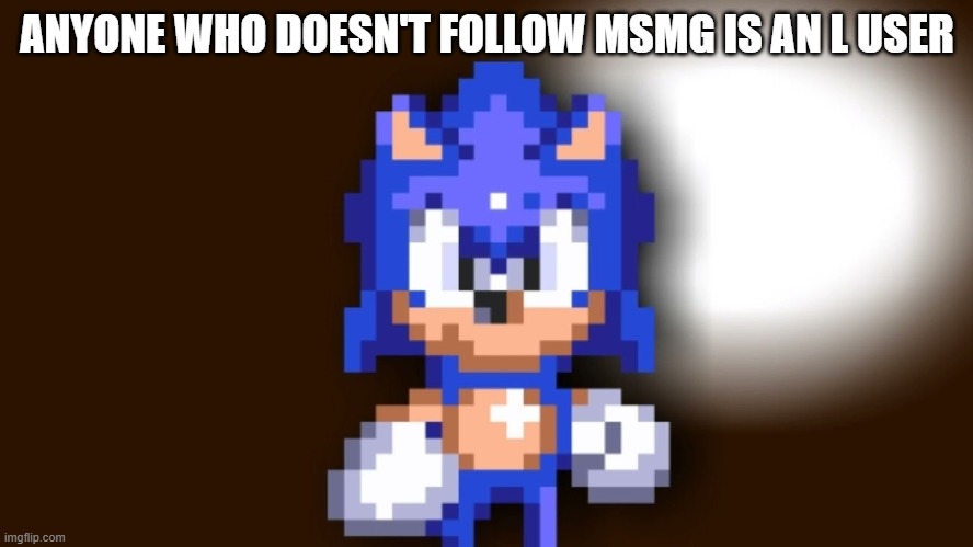 Better Call Sonic | ANYONE WHO DOESN'T FOLLOW MSMG IS AN L USER | image tagged in better call sonic | made w/ Imgflip meme maker