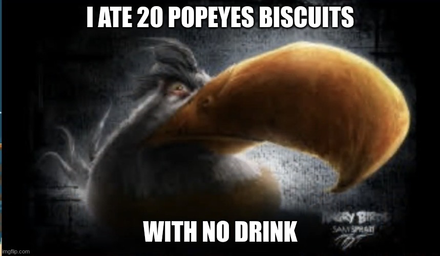 Realistic Mighty Eagle | I ATE 20 POPEYES BISCUITS; WITH NO DRINK | image tagged in realistic mighty eagle | made w/ Imgflip meme maker