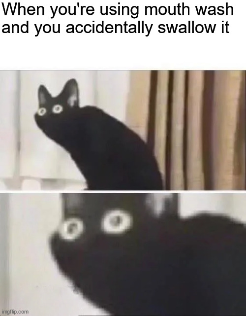Oh No Black Cat | When you're using mouth wash and you accidentally swallow it | image tagged in oh no black cat | made w/ Imgflip meme maker