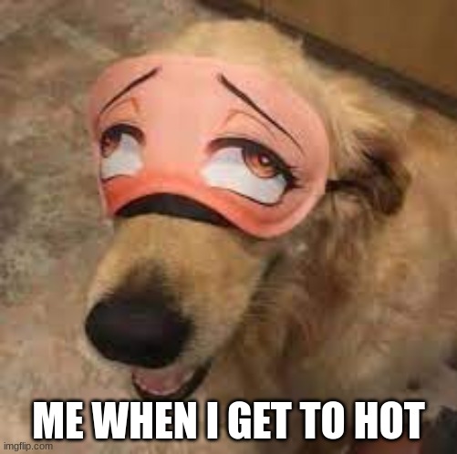 Most can relate | ME WHEN I GET TO HOT | image tagged in anime doge | made w/ Imgflip meme maker