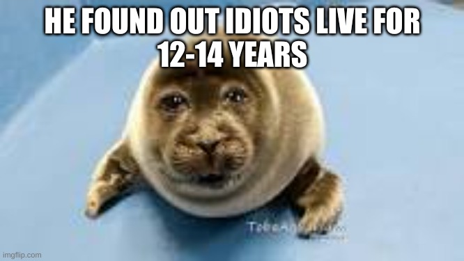 meme | HE FOUND OUT IDIOTS LIVE FOR
12-14 YEARS | image tagged in memes | made w/ Imgflip meme maker