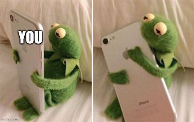 Kermit Hugging Phone | YOU | image tagged in kermit hugging phone | made w/ Imgflip meme maker