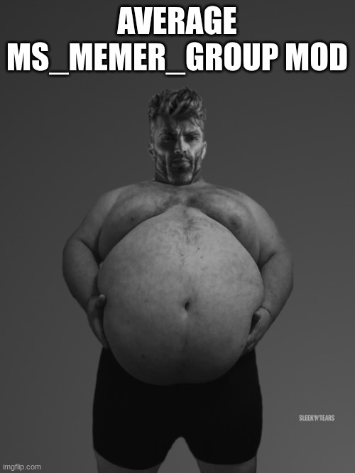 Fat Giga Chad | AVERAGE MS_MEMER_GROUP MOD | image tagged in fat giga chad | made w/ Imgflip meme maker