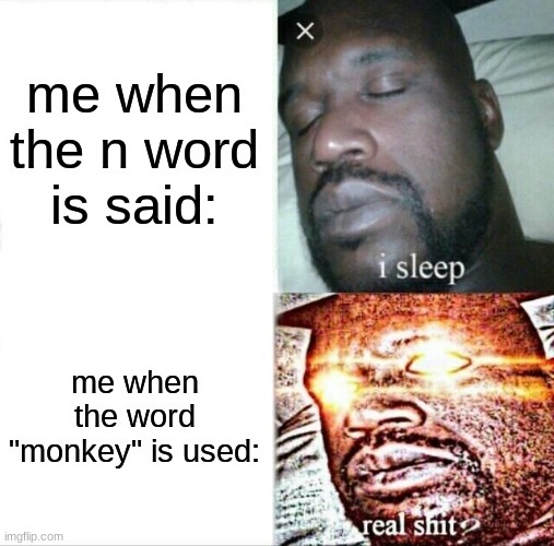 yep | me when the n word is said:; me when the word "monkey" is used: | image tagged in memes,sleeping shaq,funny | made w/ Imgflip meme maker
