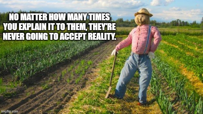Scarecrow in field | NO MATTER HOW MANY TIMES YOU EXPLAIN IT TO THEM, THEY'RE NEVER GOING TO ACCEPT REALITY. | image tagged in scarecrow in field | made w/ Imgflip meme maker