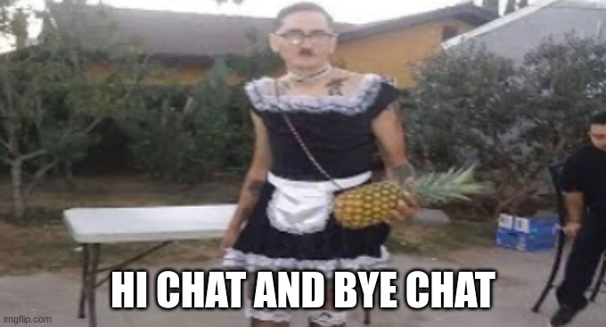 maid hitler | HI CHAT AND BYE CHAT | image tagged in maid hitler | made w/ Imgflip meme maker