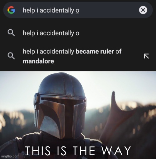I mean that's what happened to Djarin | image tagged in this is the way,the mandalorian,google search,mandalorian | made w/ Imgflip meme maker