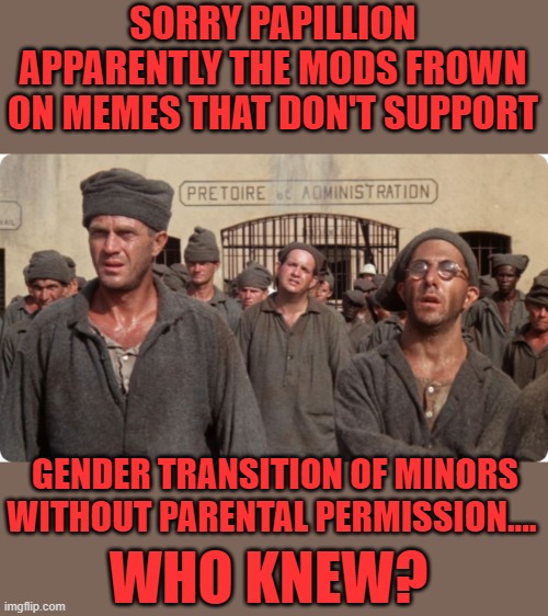 Yep | SORRY PAPILLION APPARENTLY THE MODS FROWN ON MEMES THAT DON'T SUPPORT; GENDER TRANSITION OF MINORS WITHOUT PARENTAL PERMISSION.... WHO KNEW? | image tagged in mods | made w/ Imgflip meme maker