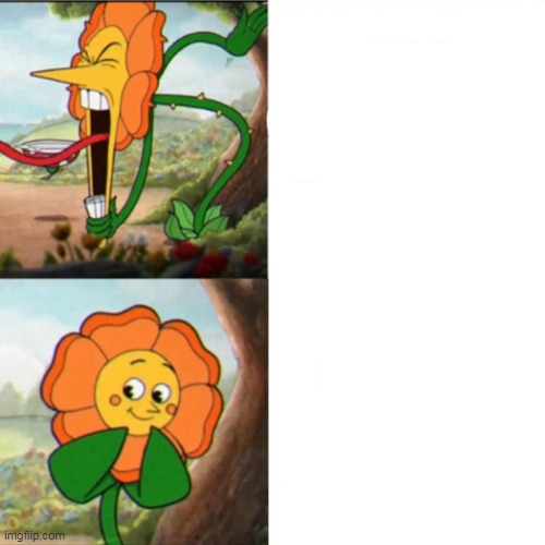 Sunflower from Cuphead Blank Meme Template