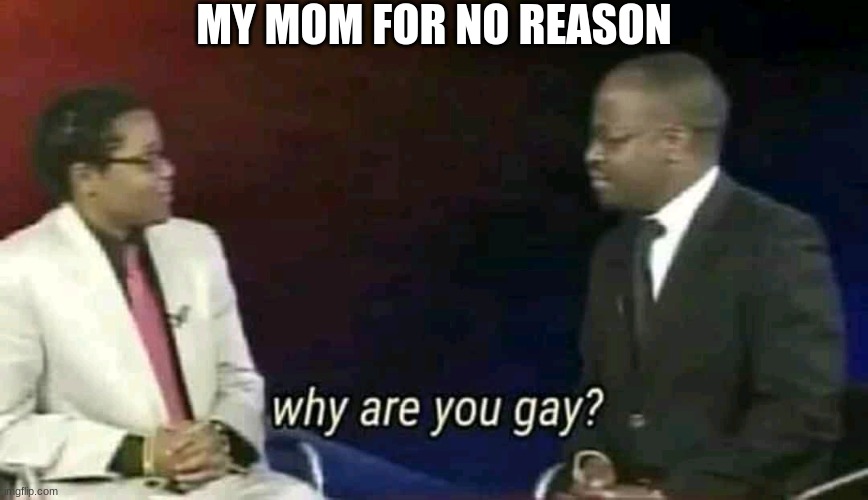 Why are you gay? | MY MOM FOR NO REASON | image tagged in why are you gay | made w/ Imgflip meme maker